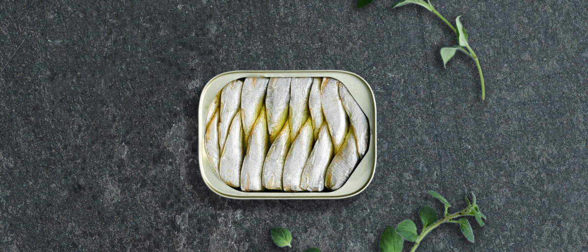 Produkty King Oscar Poland